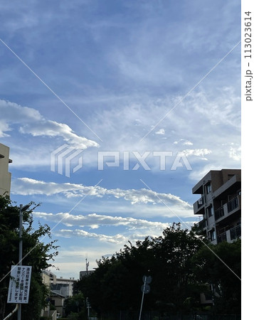 電柱、青空、エモい、雲、夕方、自然、風景 113023614