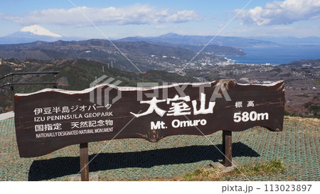 伊豆 大室山 山頂 展望台 113023897