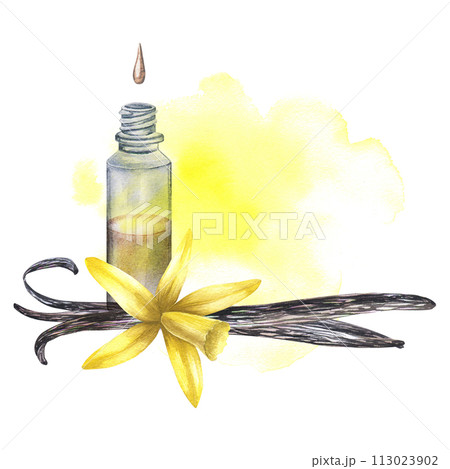 Vanilla flower with bottle and essential oil. Watercolor hand drawn illustration of yellow orchid flower and vanilla oil bottle on white isolated background. Sketch for design logo and icon. Vanilla flower with bottle and essential oil. Watercolor hand drawn illustration of yellow orchid flower and vanilla oil bottle on white isolated background. Sketch for design logo and icon. 113023902