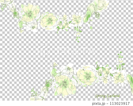 白花框架 白花框架 113023917