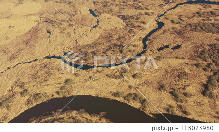 Aerial View Curved River In Early Spring Landscape. River bends and dry grass landscape. Top View Of Beautiful European Nature From High Attitude. Drone View. Bird's Eye View 113023980