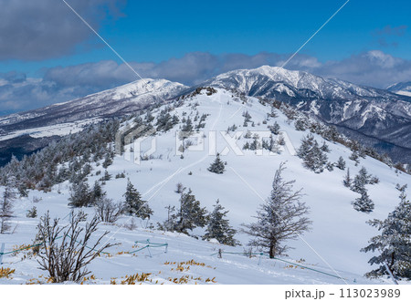 湯の丸山スノーハイク 山頂から湯の丸山北峰を臨む 湯の丸山スノーハイク 山頂から湯の丸山北峰を臨む 113023989