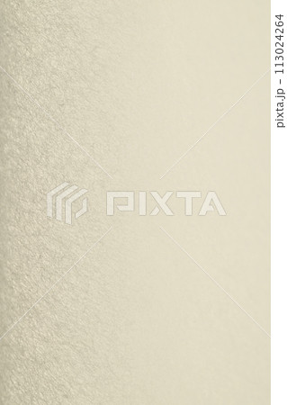 和紙による緩い曲面の背景素材 113024264