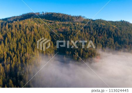 Fantastic view of the tops of the mountain ridge above the clouds Fantastic view of the tops of the mountain ridge above the clouds 113024445