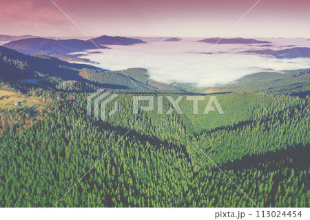 Fantastic view of the tops of the mountain ridge above the clouds Fantastic view of the tops of the mountain ridge above the clouds 113024454