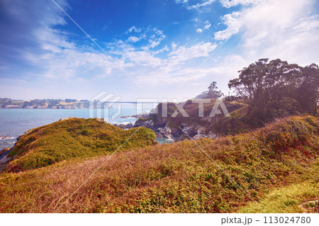 Seascape with the rocky shore in spring. View of Ria de Ribadeo del Eo bay. Puente de Los Santos bridge on the horizon. Ribadeo, Spain 113024780