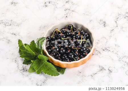 Juicy black currant berries in the bowl 113024956