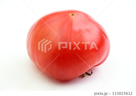 ファーストトマト 113025612