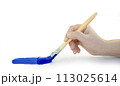 Hand holding paint brush blue on a white background 113025614