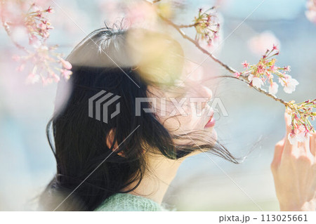 桜と美しい女性のポートレート 桜と美しい女性のポートレート 113025661