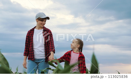 Mother converses with future farmer kid holding hands on corn field. Parent enjoys shared moments with farmer daughter exploring corn field together. Preschooler child accompanies mother on corn field 113025836