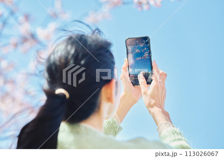 桜の写真を撮る女性 桜の写真を撮る女性 113026067