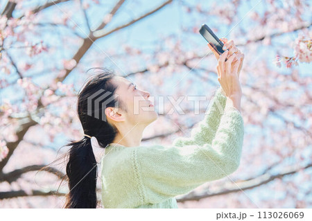 桜の写真を撮る女性 113026069