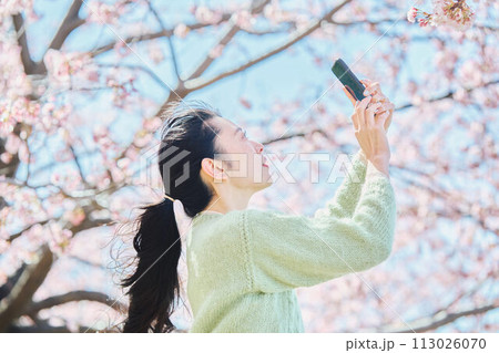 桜の写真を撮る女性 113026070