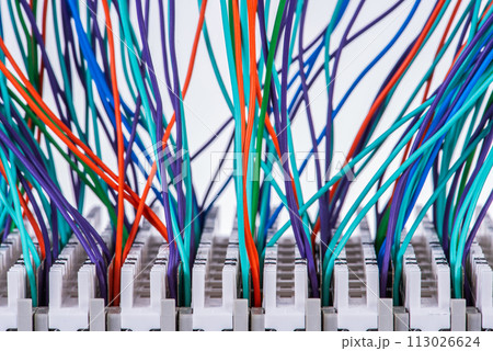 Telecommunication switchboard panel with cables 113026624