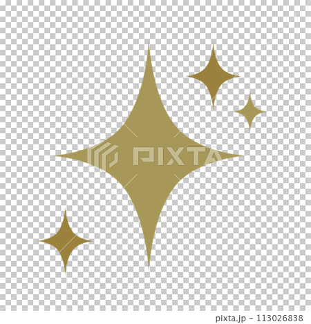 キラキラ　イラスト素材 113026838