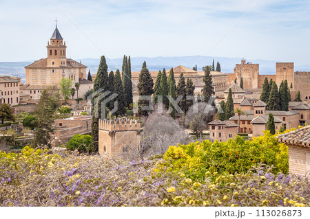 ペイン アンダルシア地方 グラナダ アルハンブラ宮殿  113026873