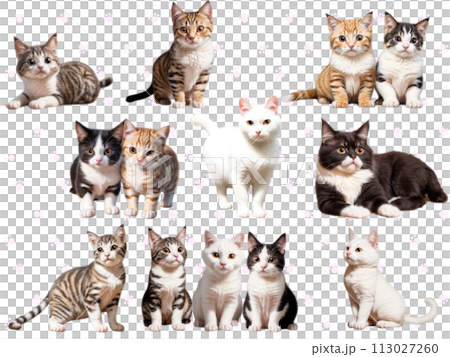 ネコのシームレスパターンC-2 (足跡) ネコのシームレスパターンC-2 (足跡) 113027260