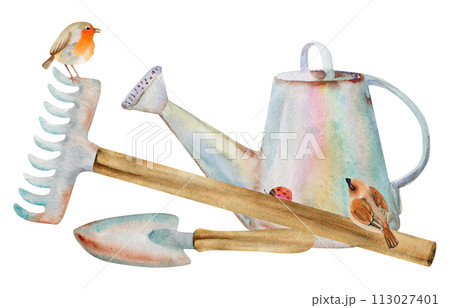 Hand drawn watercolor illustration spring gardening tools, watering can rake shovel, small birds, robin sparrow, ladybug beetle. Composition isolated white background. Design print, shop, scrapbooking Hand drawn watercolor illustration spring gardening tools, watering can rake shovel, small birds, robin sparrow, ladybug beetle. Composition isolated white background. Design print, shop, scrapbooking 113027401