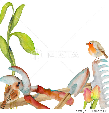 Hand drawn watercolor illustration spring gardening tools shovel rake cutting shears, birds robin sparrow, green sapling. Square frame isolated on white background. Design print, shop, scrapbooking Hand drawn watercolor illustration spring gardening tools shovel rake cutting shears, birds robin sparrow, green sapling. Square frame isolated on white background. Design print, shop, scrapbooking 113027414