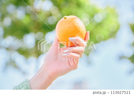 オレンジを持つ女性の手 113027521