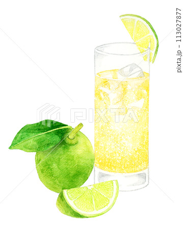 モスコミュールとライム 飲み物・お酒の手描き水彩イラスト素材 モスコミュールとライム 飲み物・お酒の手描き水彩イラスト素材 113027877