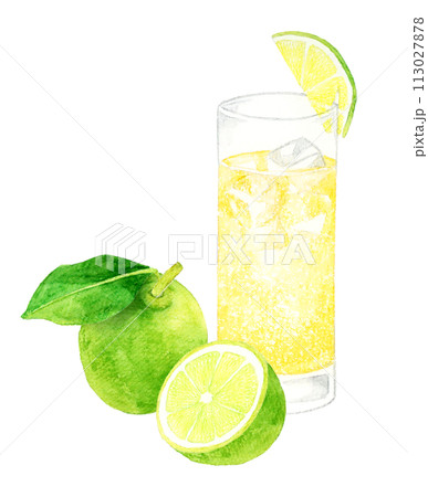 モスコミュールとライム 飲み物・お酒の手描き水彩イラスト素材 モスコミュールとライム 飲み物・お酒の手描き水彩イラスト素材 113027878