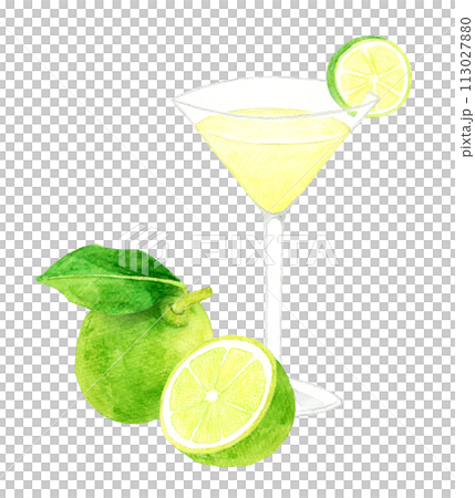 Gimlet和酸橙飲料（酒精）手繪水彩插畫素材 113027880