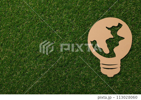 Decorative paper light bulb on the grass 113028060
