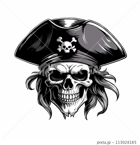 pirate skull 113028165