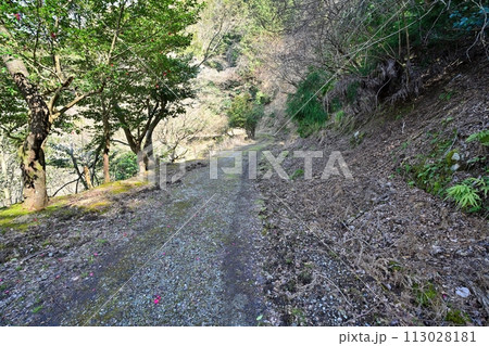 廃止閉鎖された鐘ヶ坂隧道(明治・昭和のトンネル)の様子 廃止閉鎖された鐘ヶ坂隧道(明治・昭和のトンネル)の様子 113028181