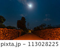 竹富島の夜の風景　島の道　八重山諸島 113028225