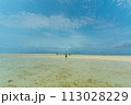 竹富島の風景　コンドイビーチ　沖縄の景色 113028229