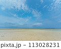 竹富島の風景　コンドイビーチ　沖縄の景色 113028231