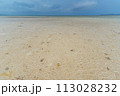 竹富島の風景　コンドイビーチ　沖縄の景色 113028232