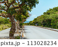 竹富島の風景　島の街道 113028234