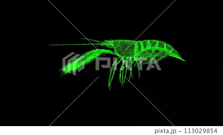 3D Shrimp on black background. Marine Underwater World concept. Restaurant delicacy. Business advertising backdrop. For title, text, presentation. 3d animation 113029854