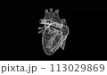 3D Half a Heart on black background. Medical concept. Circulatory system. Business advertising backdrop. For title, text, presentation. 3d animation 113029869