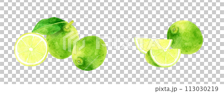 Set of limes, hand-drawn watercolor illustrations of fruits 113030219