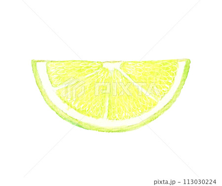 カットしたライム　フルーツの手描き水彩イラスト素材 113030224