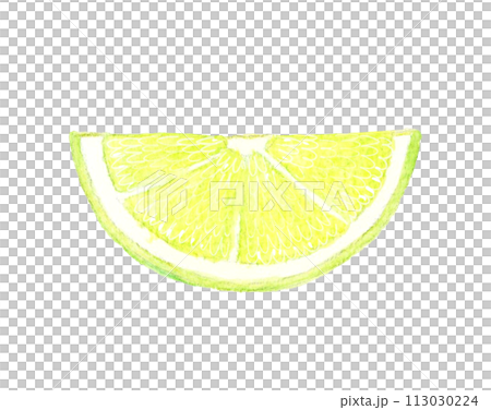 カットしたライム　フルーツの手描き水彩イラスト素材 113030224