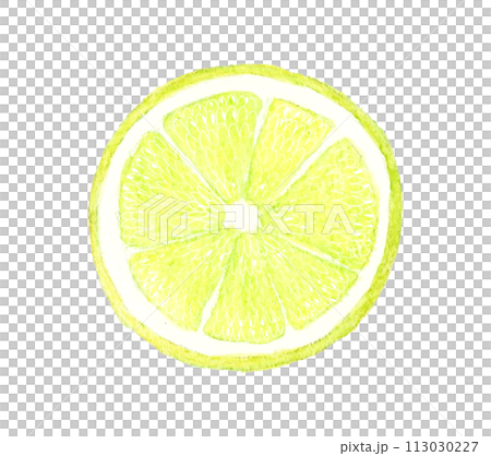半分にカットしたライム　フルーツの手描き水彩イラスト素材 113030227
