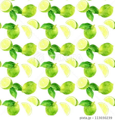ライムのパターン　手描き水彩イラストの果物柄 113030239