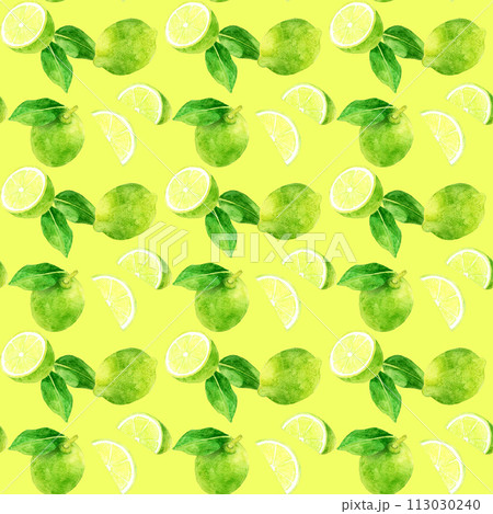 ライムのパターン　手描き水彩イラストの果物柄 113030240