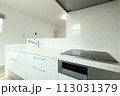 お洒落なキッチンルーム イメージ 113031379