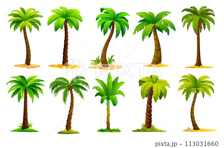Cartoon jungle palm trees, coconut and banana tropical plants set. Isolated vector palms with tall and slender trunks, swaying in the breeze green fronds. Exotic paradise vegetation, game elements Cartoon jungle palm trees, coconut and banana tropical plants set. Isolated vector palms with tall and slender trunks, swaying in the breeze green fronds. Exotic paradise vegetation, game elements 113031660