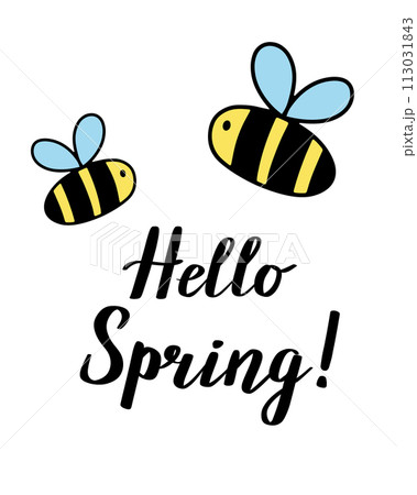 Cute bees with lettering Hello Spring. Hand drawn cartoon style vector illustration isolated on white. 113031843