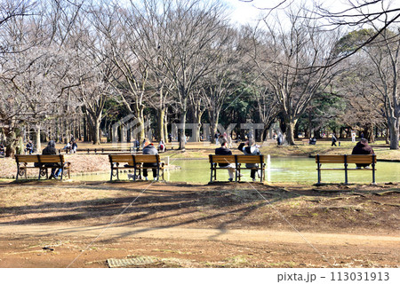 代々木公園でベンチで休む人々 代々木公園でベンチで休む人々 113031913