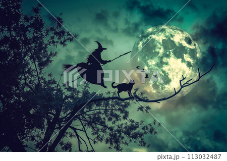 Witch Stuck Tree, Laughing, Broomstick Mishap 113032487