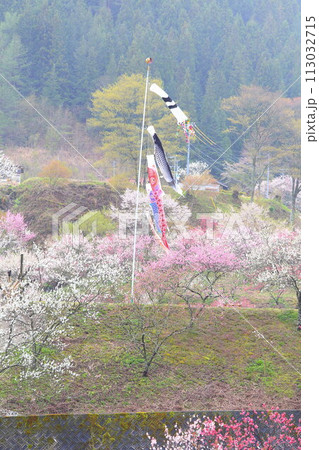 月岡温泉郷・花桃の里 113032715